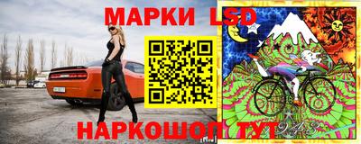 твердый Камышлов