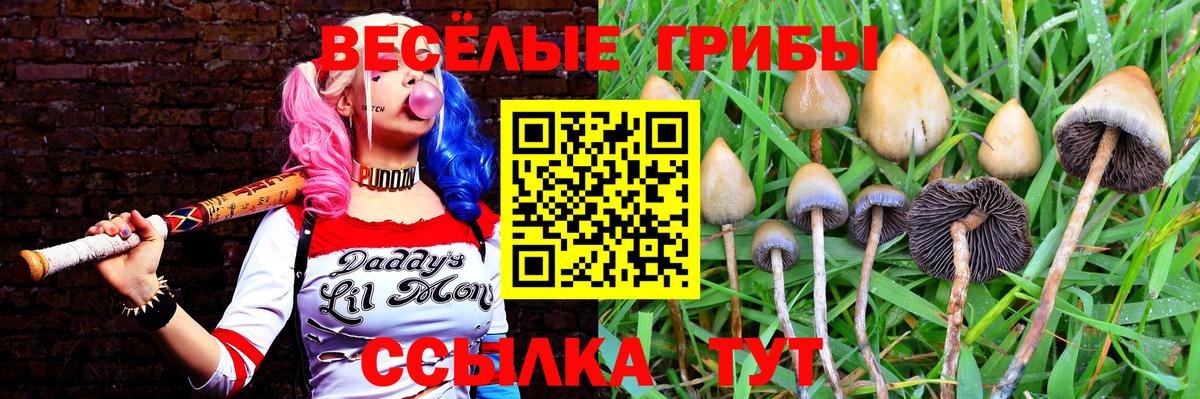 Псилоцибиновые грибы прущие грибы Коммунар
